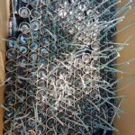 THUNDER FLASHES 6 FOR R460
